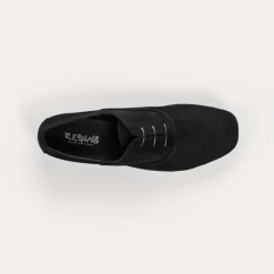 Reqins DERBIES HYDRA CUIR VELOURS CC NOIR Hot